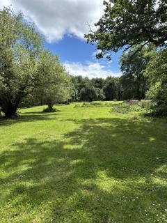Pion La Grange - cottage barn conversion - 5