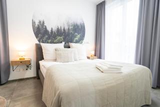 Residenz - Haus Erde - Penthouse - Sauna - Parkplatz - 8