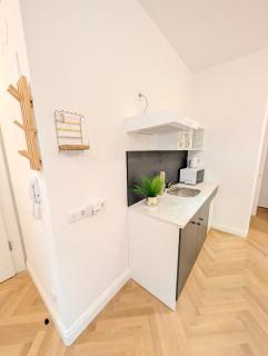 Modern Apartment Close to Subway & Vineyards GO10 - 4