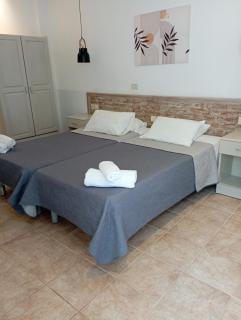Olive house - 7