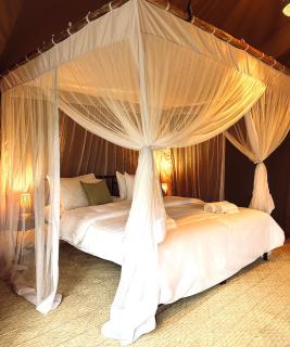 the Roost Tented Camp - 3