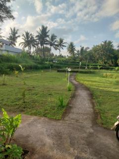 villa kembar ubud - 1