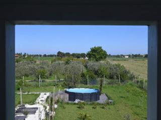 PP12 - Potenza Picena, ampio trilocale con piscina e aria condizionata - 8