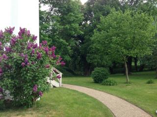 Gutshaus Hinrichsberg Parkblick - 3