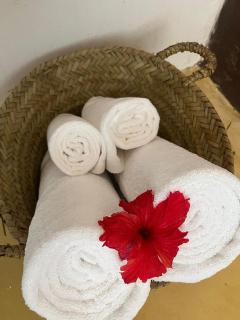 Charming 2-Bedroom House Rental in Jambiani, Zanzibar - 2