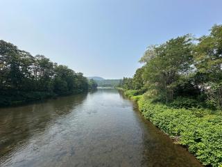 Anglers Haven- Delaware River Retreat - 2