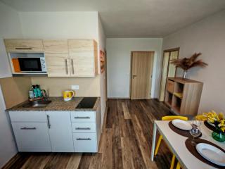 Apartmánky Valtice - Rooms & Whole House, 2-17 guests - 3