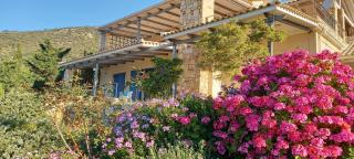blueline guesthouse - 5