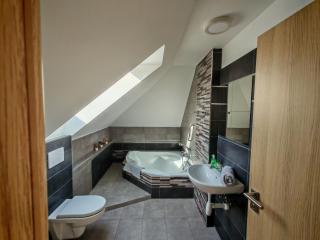 Apartmánky Valtice - Rooms & Whole House, 2-17 guests - 7
