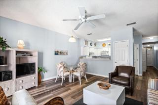 Palms B5 - 6