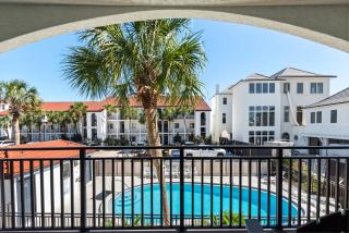 Palms B5 - 4