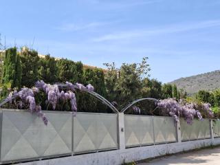 blueline guesthouse - 2