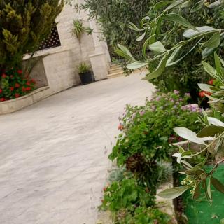 luxury house - 1