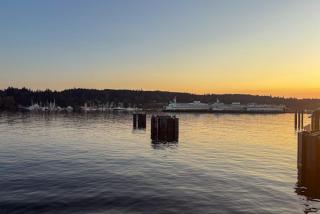 Eagle Harbor House World Cup Availability - 8