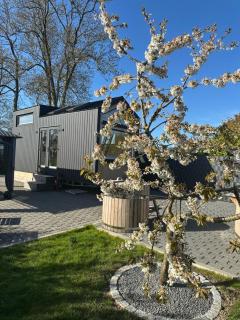 my-tinyhouse - 8