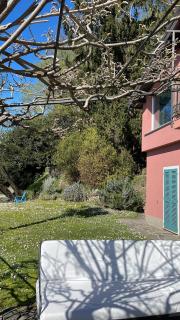 Lake Como Amazing Lakeview Villa -  - 1