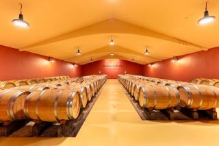 Château La Haye Wine Estate Stay - Sleeps 12 - 7