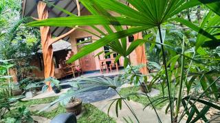 Ama Eco Lodge - 2
