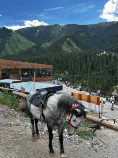 Horse riding Kolsay - 3
