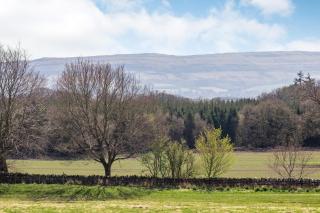 Bankhead Shepherds Hut - 4