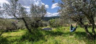 La Limonaia Cortona - 4