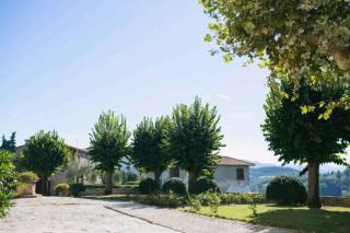 Alba - Villa Cenami - big POOL with view - Massarosa - 9