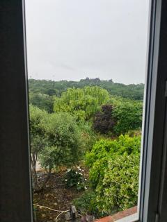 Gayrimont, la chambre des lavandes - 3