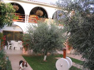 Apartment Dady with a large covered terrace - Fažana - 0