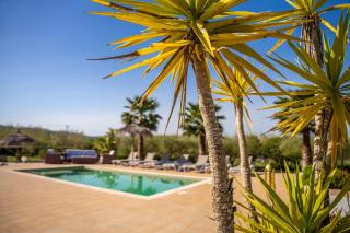 Finca Cas Padrins - 2
