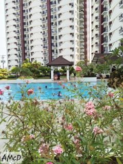 Royal Ocean Crest Mactan Near Airport with Pool view - 9