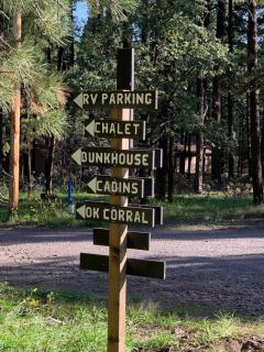The Chalet for 20 Great for groups - 5