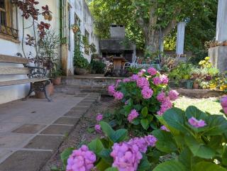 La Casa de Elena - 2