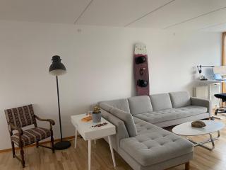 Scandinavian Apartment Close to Water and Bridges - 1