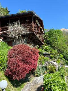 Chalet con piscina riscaldata e sauna privata vicino al Lago Orta - 1