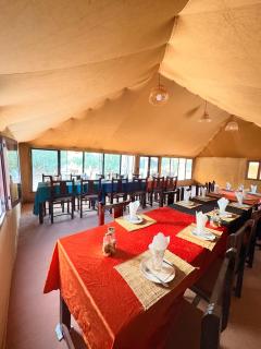 Sahara Luxe Camp - 5