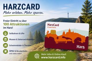 Harz Mountain Retreat Casa Bianca - 9