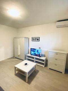 Salis - 8