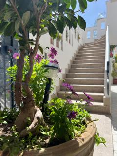 Stylish & Quiet Apartment in La Marsa, Tunisia - 2