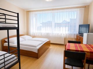 Apartament i pokoje gościnne Budnik - 8