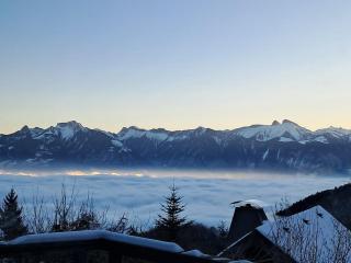Châlet Ô Perchoir du Lac Léman - 4