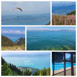 Châlet Ô Perchoir du Lac Léman - 3