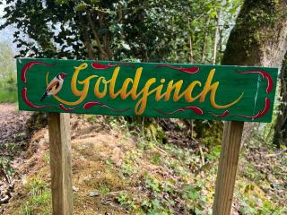 Goldfinch - 7