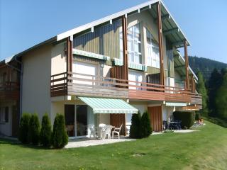 Charmant appartement Gérardmer - 0