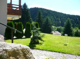 Charmant appartement Gérardmer - 9