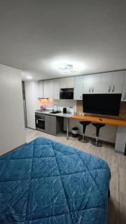 Estudio Moderno y Cómodo, Piso 7 Centro Chillán con Parking Opcional - 1