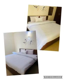 Luxuryfullyfurnished2BHK,2T,K&LR at ClarksResidence - 2