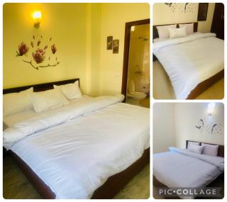 Luxuryfullyfurnished2BHK,2T,K&LR at ClarksResidence - 1