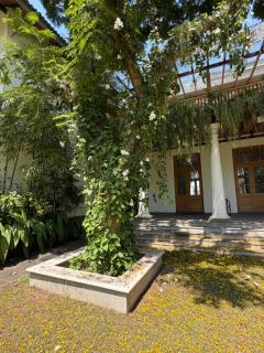 Dutch Bungalow - Villa in Negombo - 9