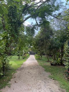 Dutch Bungalow - Villa in Negombo - 8