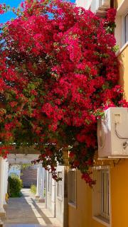 Morada Hotel - 1